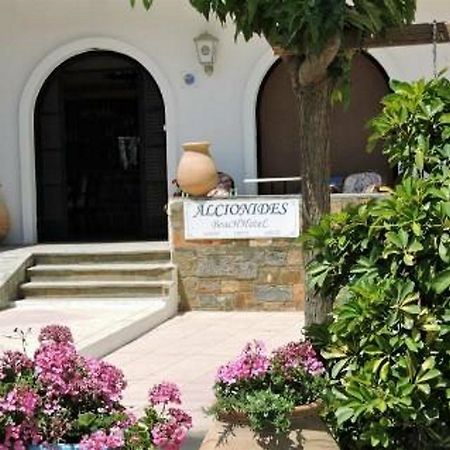 Alkyonides Beach Hotel Malia Exteriér fotografie