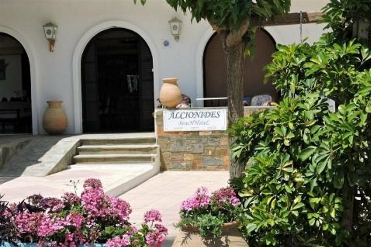 Alkyonides Beach Hotel Malia Exteriér fotografie